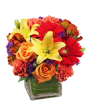 Bright Before Your Eyes Flower Arrangement in Spring, TX | RAINFOREST FLOWERS