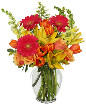 SUN-DRENCHED COLOR Arrangement in Spring, TX | RAINFOREST FLOWERS